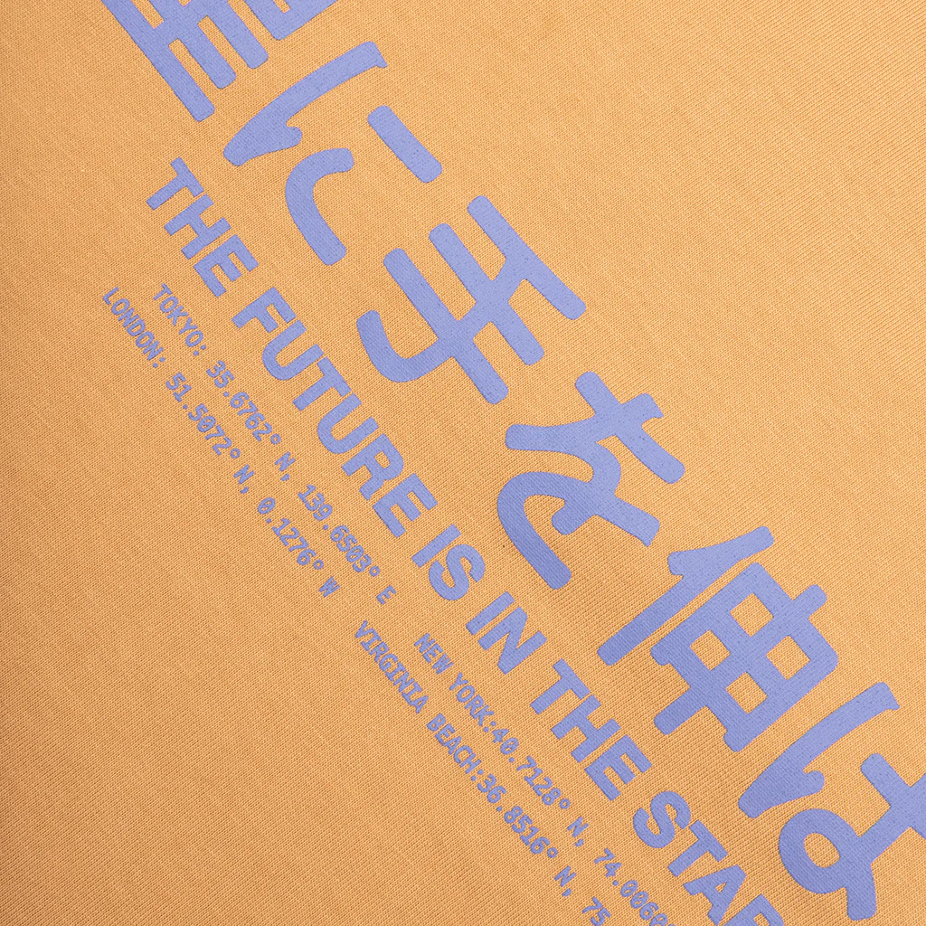 BB Human SS Tee (Oversized Fit) - Apple Cinnamon - Image 4