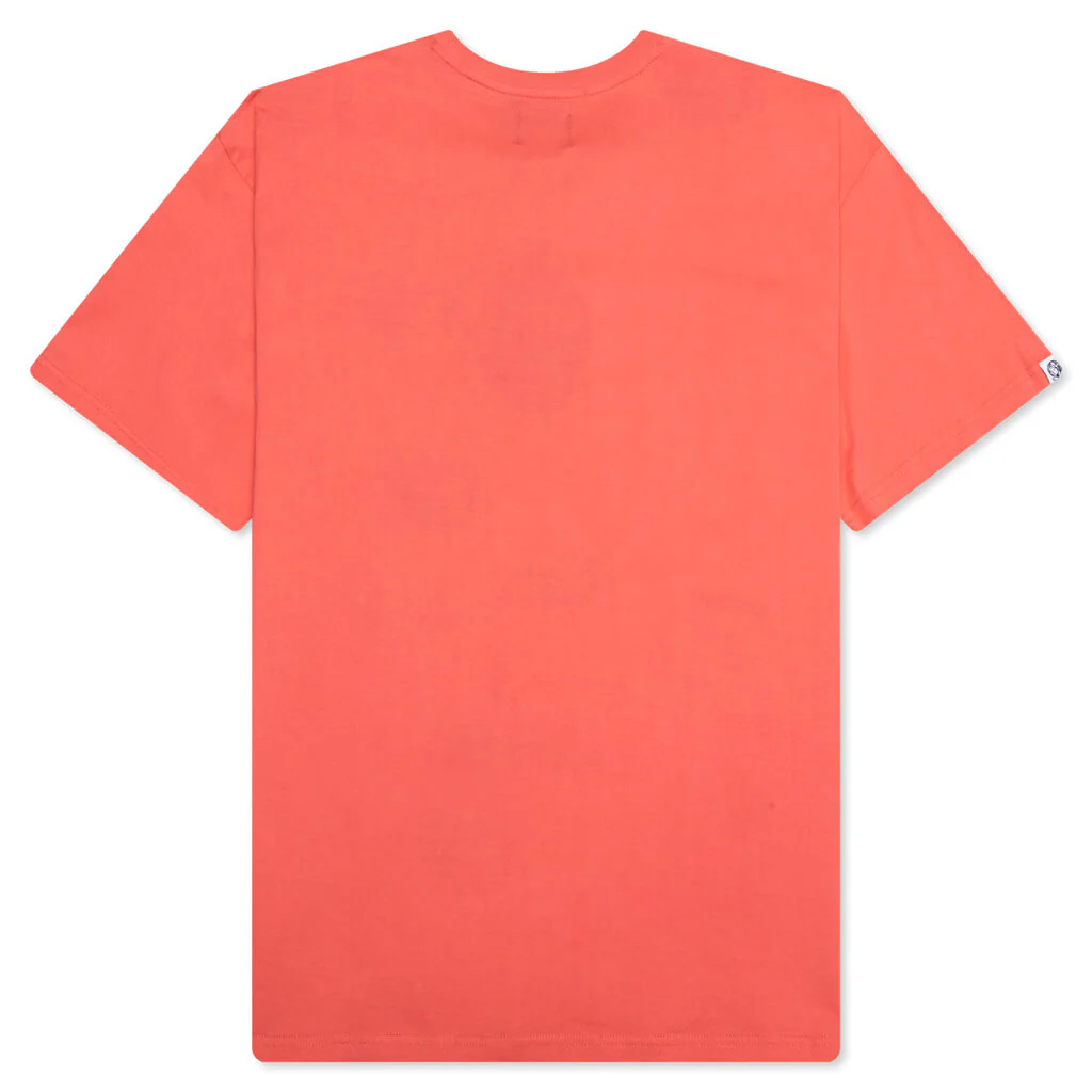 Helmet S/S Knit - Dubarry - Image 2