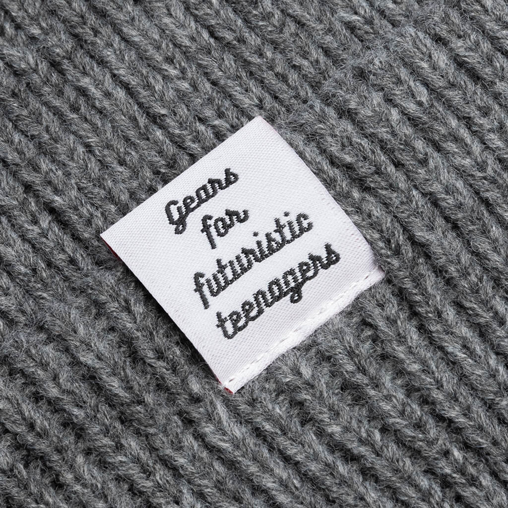 Classic Beanie - Gray - Image 2