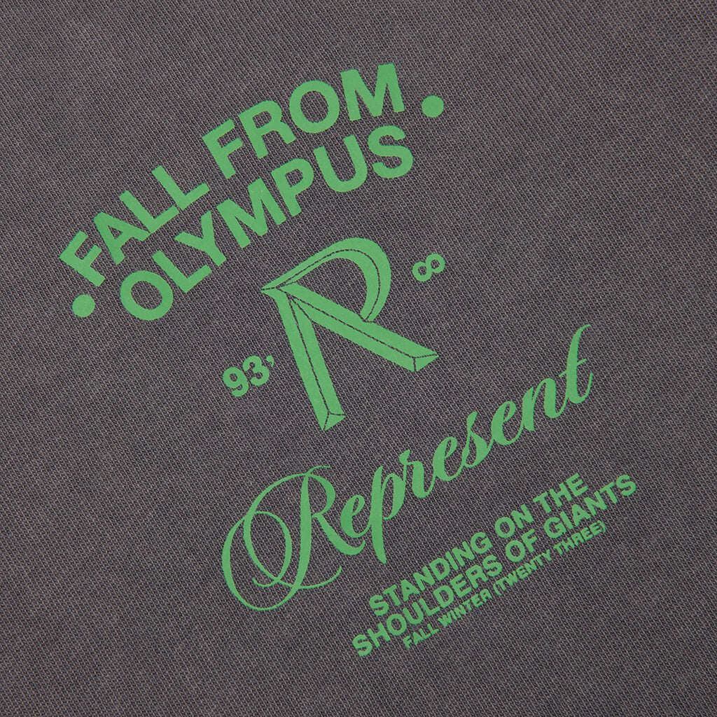 Fall From Olympus T-Shirt - Storm - Image 3