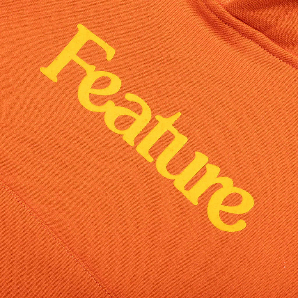 Kids Academy Hoodie - Burnt Orange - Image 3