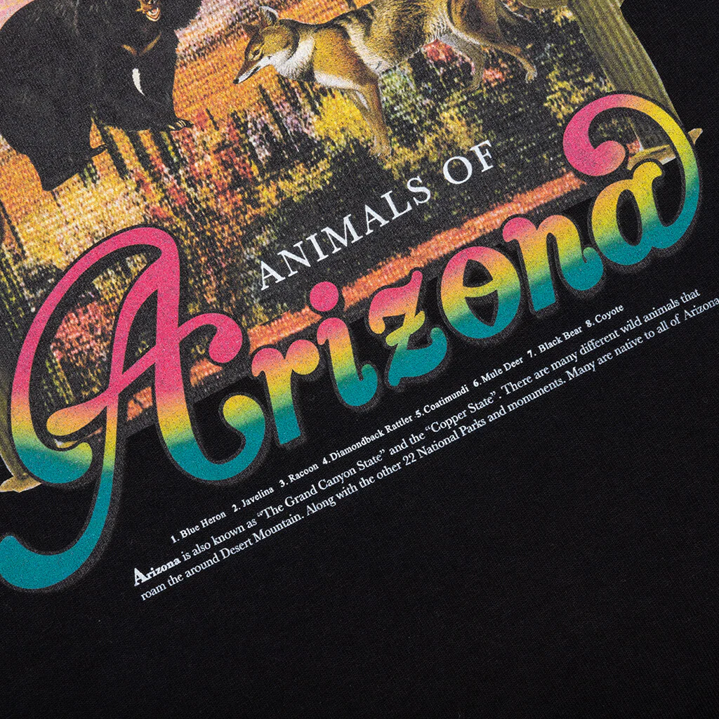 Scottsdale Chapter Tee - Black - Image 6