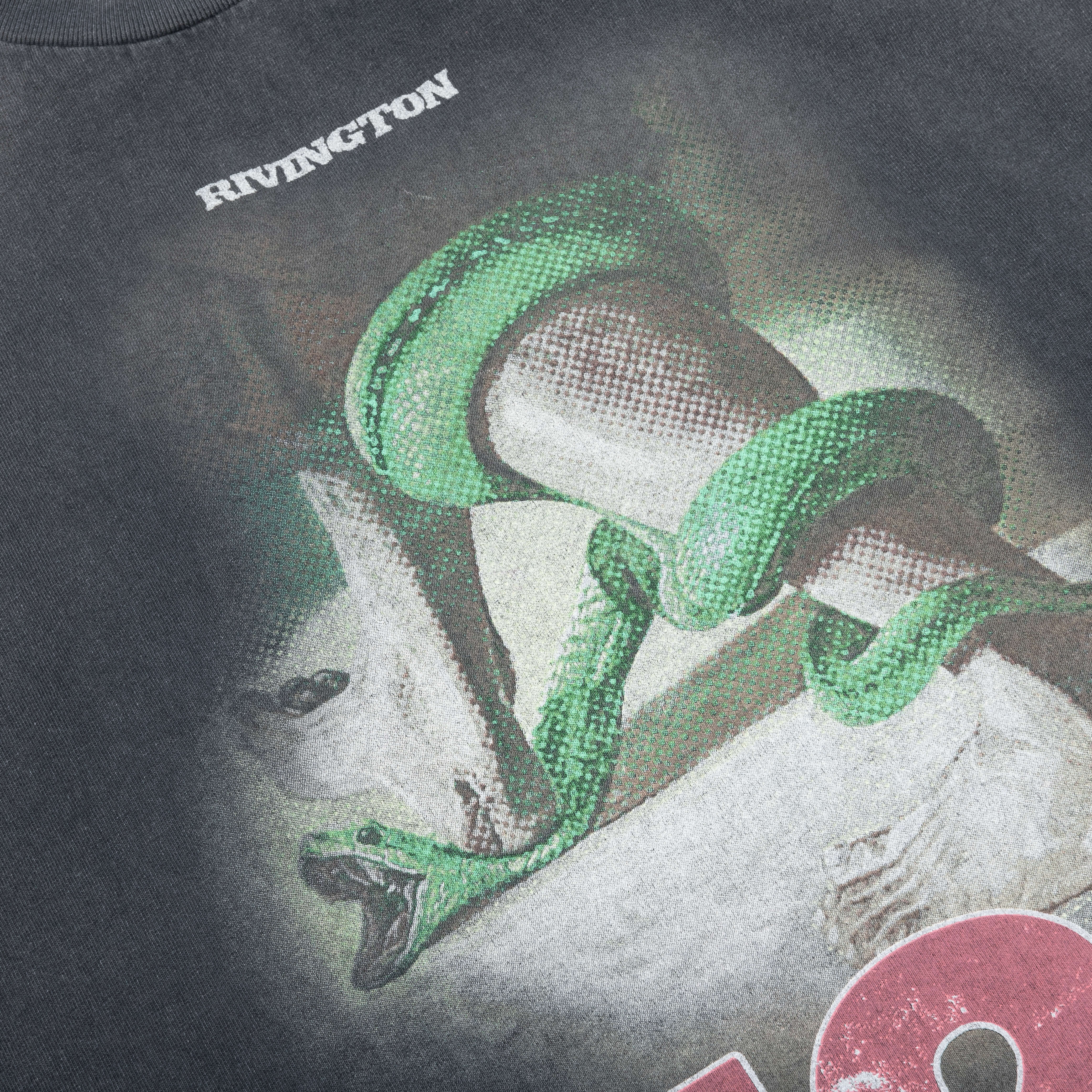Inri Snake L/S Tee - Vintage Black - Image 3