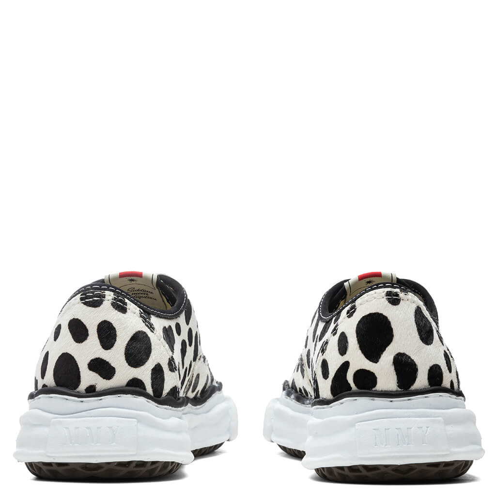 Baker - Dalmatian - Image 4