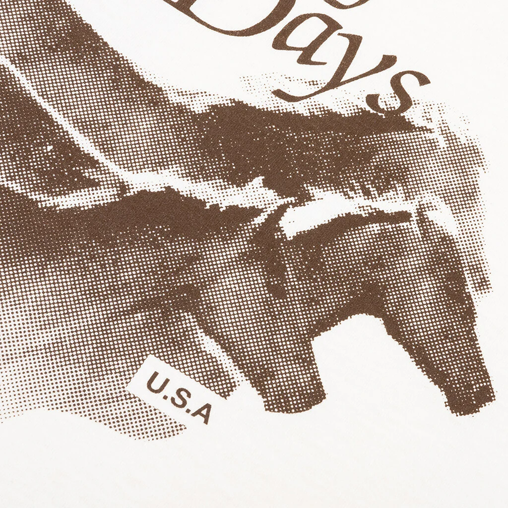 Lost Highway T-Shirt - Bone - Image 3