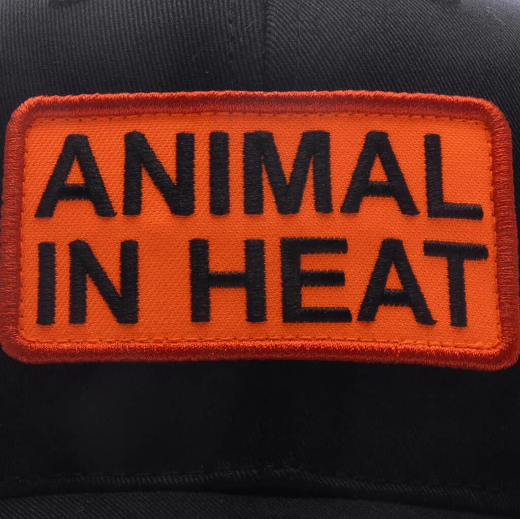 Heat Snapback - Black - Image 4