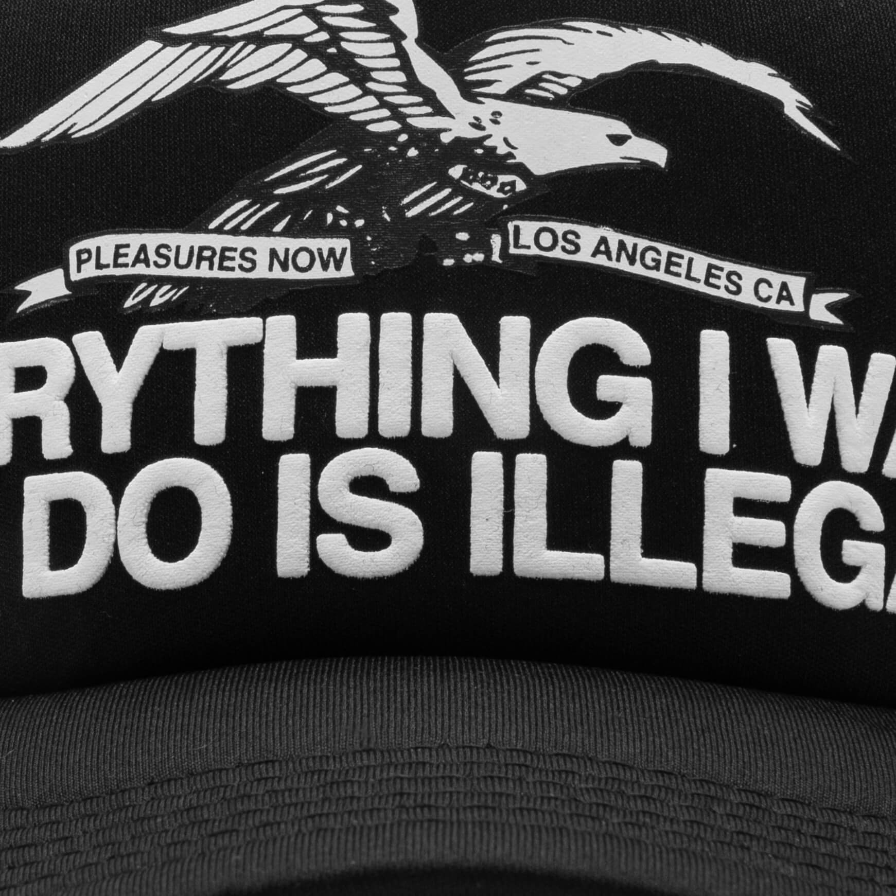 Illegal Trucker - Black - Image 2