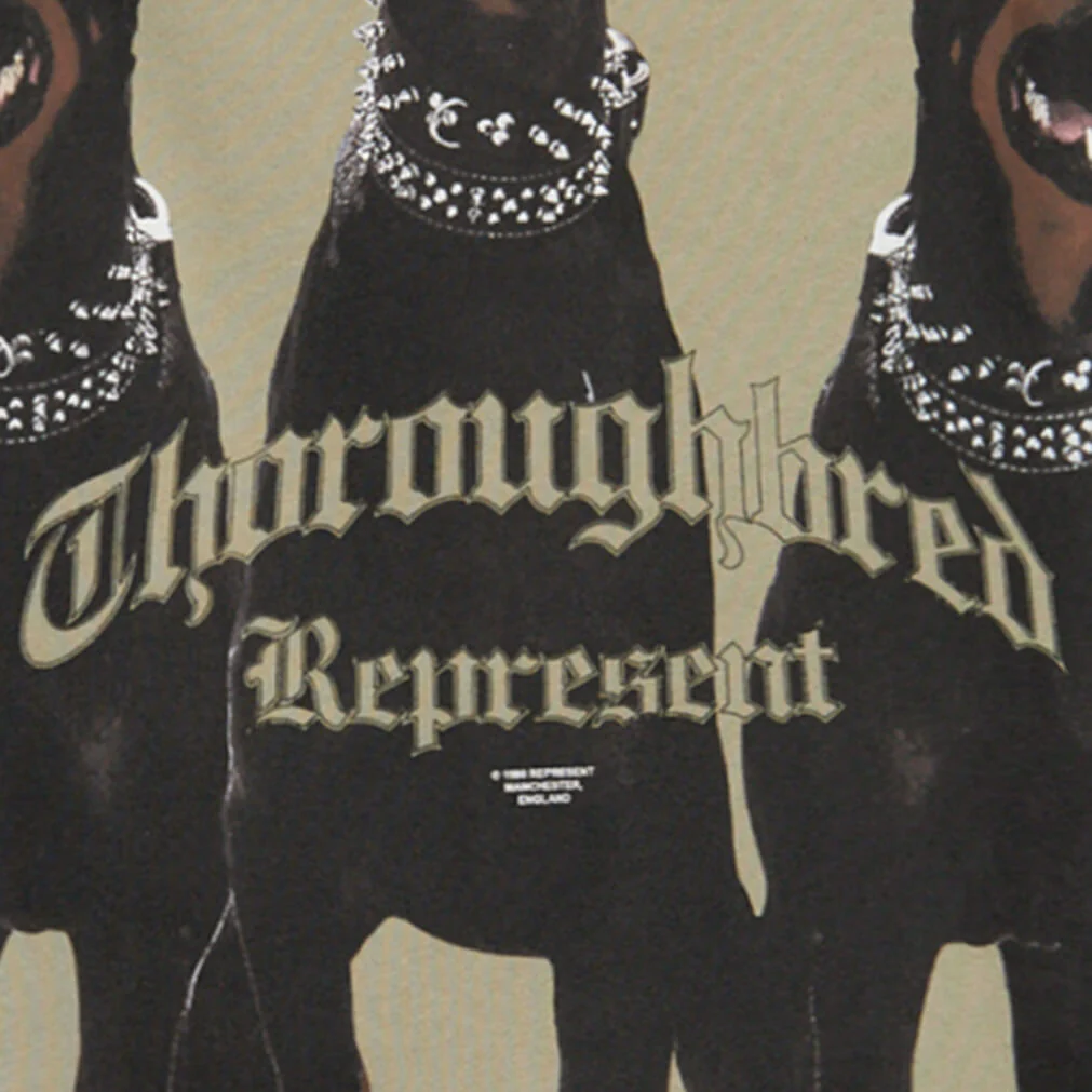 Thoroughbred T-Shirt - Khaki - Image 3