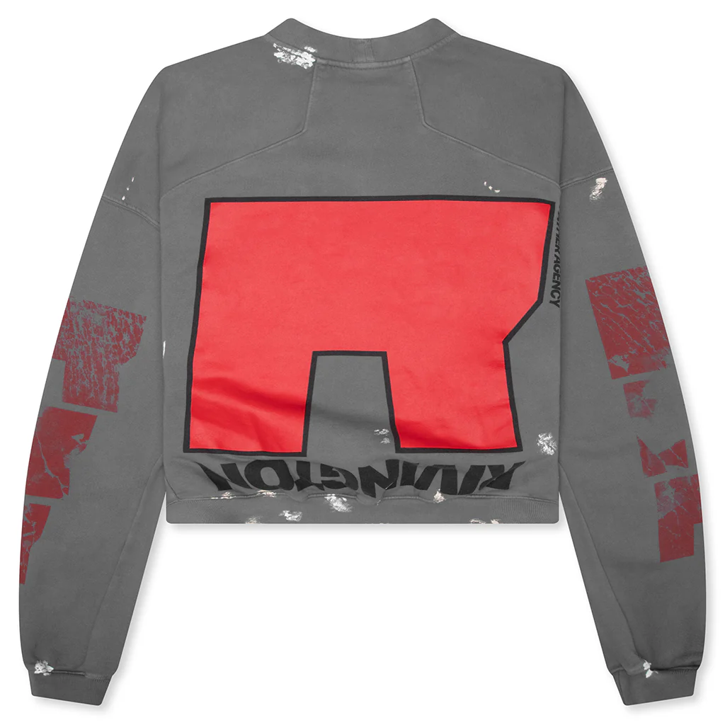 Love Stuff Crewneck - Grey - Image 2