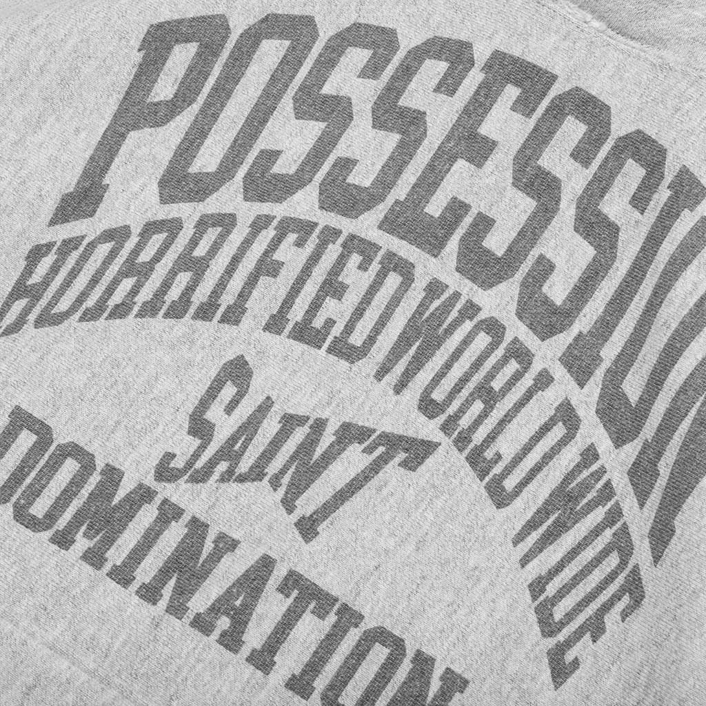 Possession Hoodie - Grey - Image 3