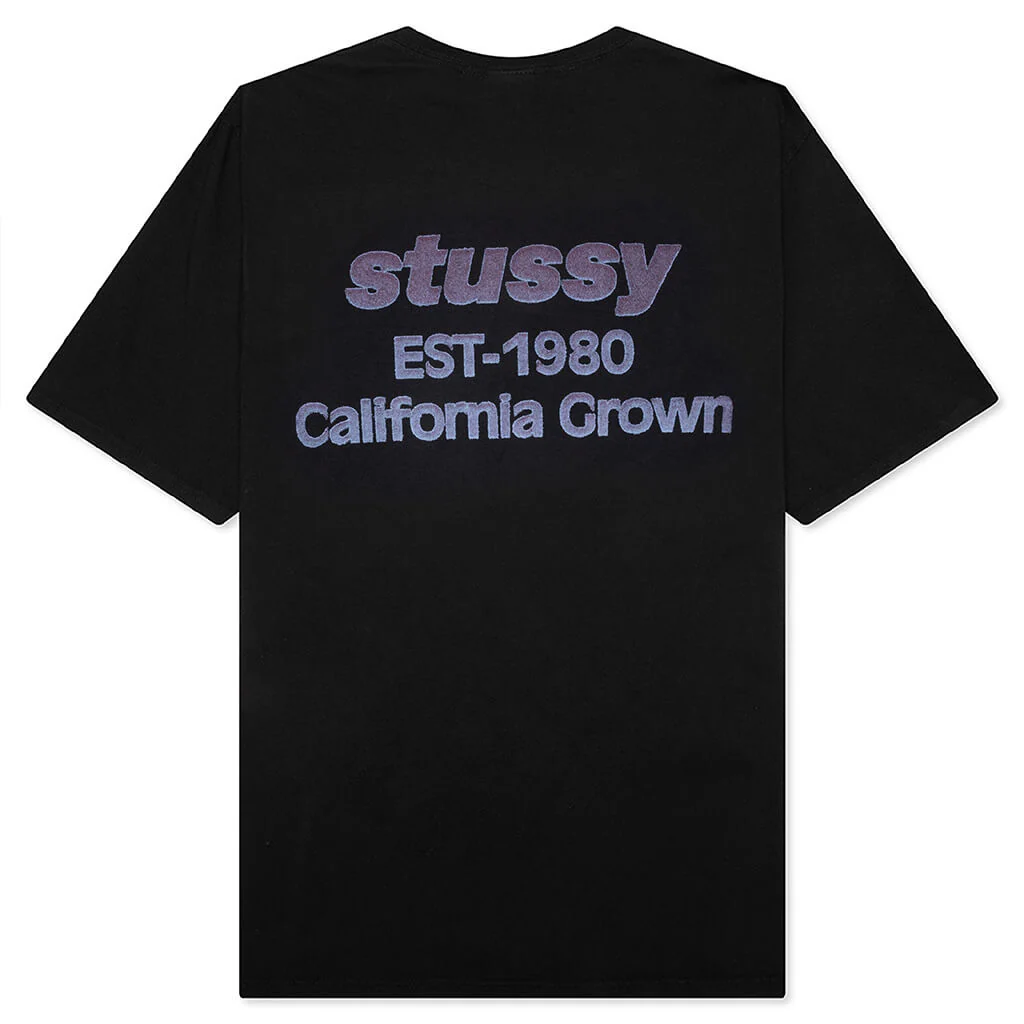 California Grown Pigment Dyed Tee - Black - Image 2