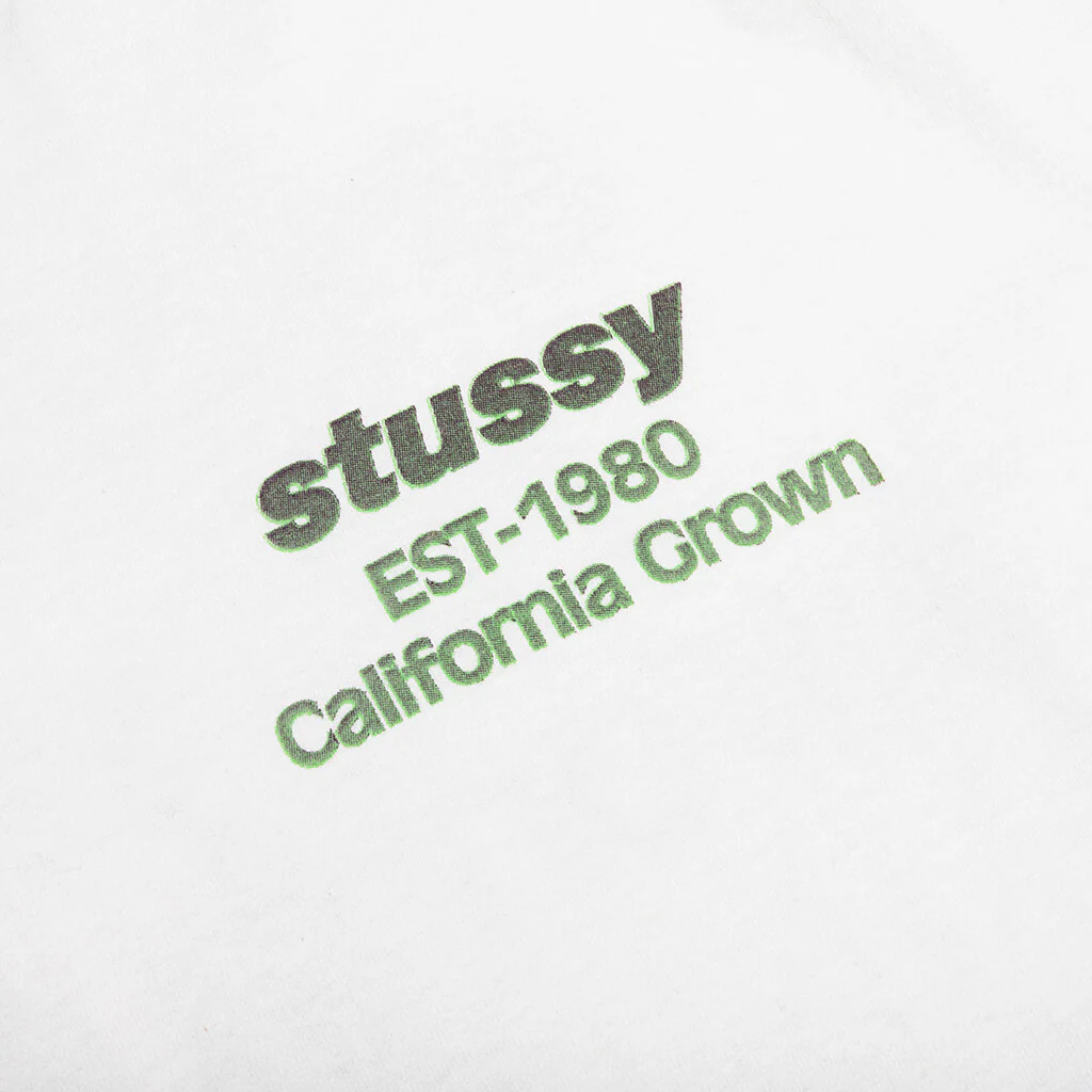 California Grown Pigment Dyed Tee - Natural - Image 4