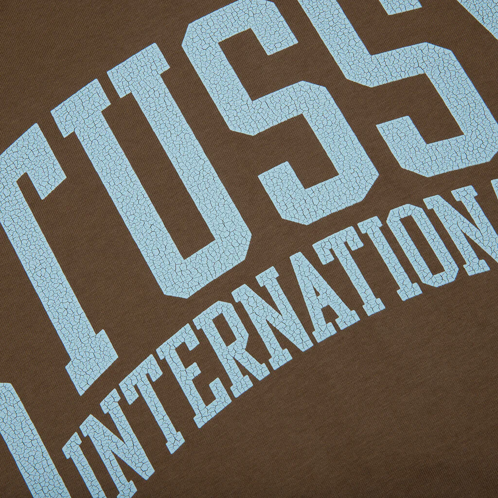 Stussy International Pigment Dyed Tee - Brown - Image 3