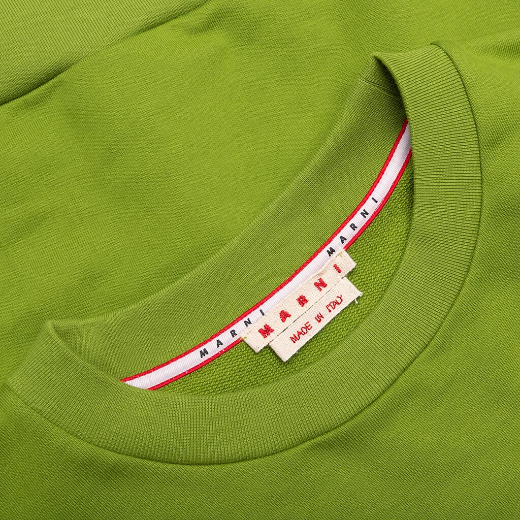 Sweatshirt - Kiwi - Image 3