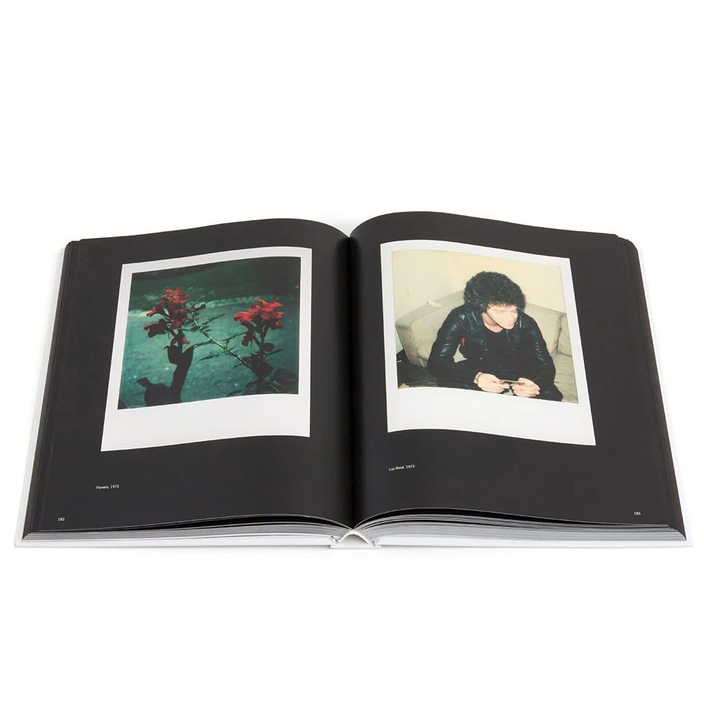 Andy Warhol Polaroids - Image 3
