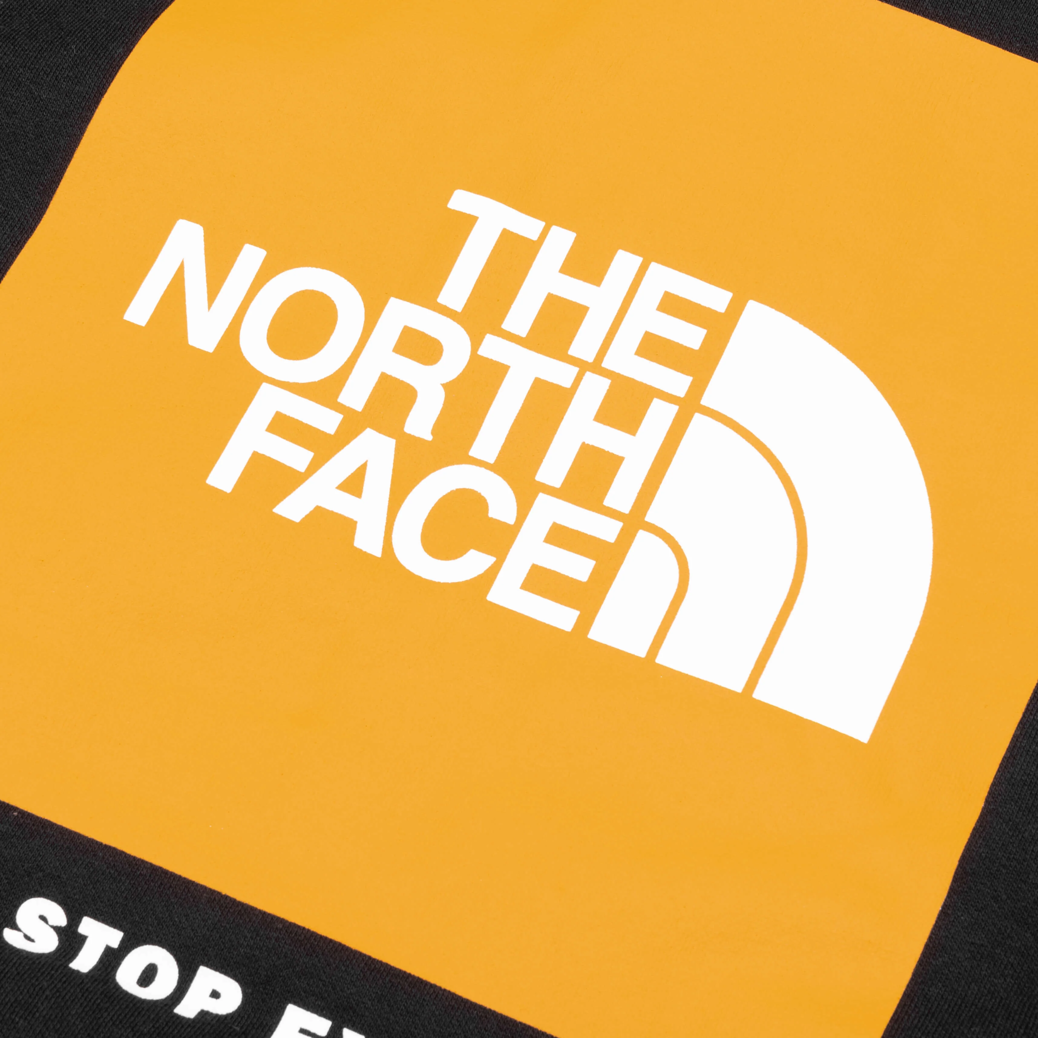 Box NSE Pullover Hoodie - TNF Black/Summit - Image 6